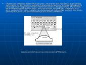 DVD diskai 10 puslapis