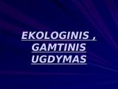 Ekologinis-gamtinis ugdymas 2 puslapis