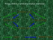 Ekonomikos apytakos modelis 6 puslapis