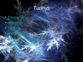 Eksportas ir importas 2005 metais 2 puslapis