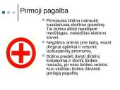 Elektros srovės poveikis žmogaus organizmui 7 puslapis