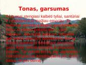 Elgesio etiketas Japonijoje 5 puslapis