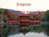 Elgesio etiketas Japonijoje 7 puslapis