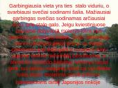 Elgesio etiketas Japonijoje 9 puslapis