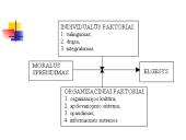 Etiškas sprendimo priėmimas 11 puslapis