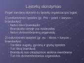 Eukariotinės ląstelės dvimembraniniai organoidai. Eukariotinės ląstelės kilmė 3 puslapis