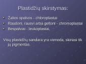 Eukariotinės ląstelės dvimembraniniai organoidai. Eukariotinės ląstelės kilmė 5 puslapis