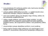 Euras Lietuvai: už ir prieš 13 puslapis