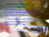 Euras Lietuvai: už ir prieš 4 puslapis