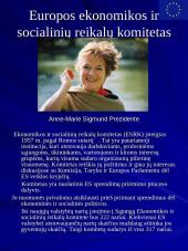 Europos Sąjunga ir jos institucijos 17 puslapis