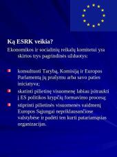 Europos Sąjunga ir jos institucijos 18 puslapis