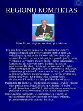 Europos Sąjunga ir jos institucijos 19 puslapis
