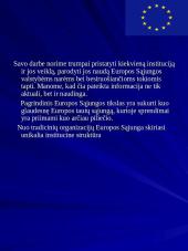 Europos Sąjunga ir jos institucijos 3 puslapis