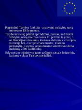 Europos Sąjunga ir jos institucijos 7 puslapis