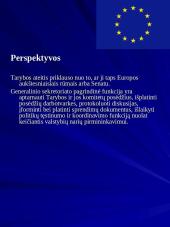 Europos Sąjunga ir jos institucijos 10 puslapis