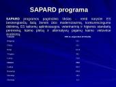 Europos Sąjungos (ES) struktūriniai fondai - Lietuva 13 puslapis