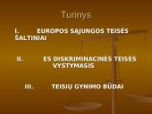 Europos Sąjungos (ES) teisės šaltiniai 2 puslapis
