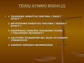 Europos Sąjungos (ES) teisės šaltiniai 11 puslapis