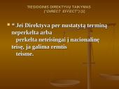 Europos Sąjungos (ES) teisės šaltiniai 12 puslapis