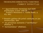 Europos Sąjungos (ES) teisės šaltiniai 14 puslapis