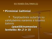 Europos Sąjungos (ES) teisės šaltiniai 3 puslapis