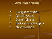 Europos Sąjungos (ES) teisės šaltiniai 4 puslapis