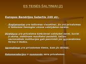 Europos Sąjungos (ES) teisės šaltiniai 6 puslapis