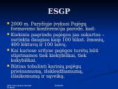 Europos Sąjungos (ES) veikla užtikrinant saugumą (BUSP, ESGP) 8 puslapis