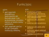 Europos Teisingumo teismo ir Europos žmogaus teisių teismo panašumai ir skirtumai 3 puslapis