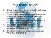 Europos valiutų rinka. Ofšorinės kompanijos ir bankai 19 puslapis
