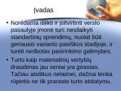 Gamybos (verslo) nutrūkimo draudimo ypatumai Lietuvoje 2 puslapis