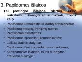 Gamybos (verslo) nutrūkimo draudimo ypatumai Lietuvoje 17 puslapis