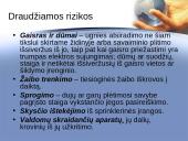 Gamybos (verslo) nutrūkimo draudimo ypatumai Lietuvoje 18 puslapis