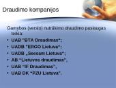 Gamybos (verslo) nutrūkimo draudimo ypatumai Lietuvoje 9 puslapis