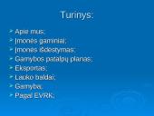 Gamybos organizavimas: IĮ "Medžio era" 2 puslapis