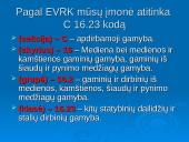 Gamybos organizavimas: IĮ "Medžio era" 16 puslapis