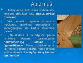 Gamybos organizavimas: IĮ "Medžio era" 3 puslapis