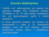 Gamybos organizavimas: IĮ "Medžio era" 5 puslapis