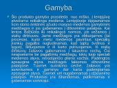 Gamybos organizavimas: IĮ "Medžio era" 10 puslapis