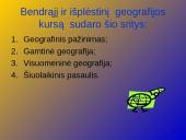 Geografijos didaktika 11 puslapis