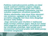 Gerovės valstybės modelis 20 puslapis