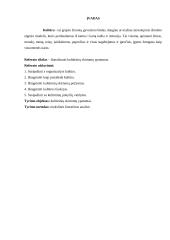 Organizacijos kultūra referatas
