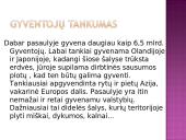 Gyventojų pasiskirstymas žemėje 2 puslapis