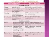 Gyventojų pasiskirstymas žemėje 5 puslapis