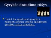 Gyvybės draudimas: sąvoka ir ekonominė esmė 15 puslapis