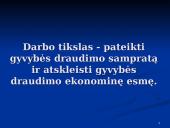 Gyvybės draudimas: sąvoka ir ekonominė esmė 3 puslapis