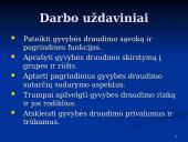 Gyvybės draudimas: sąvoka ir ekonominė esmė 4 puslapis