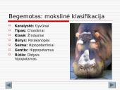 Gyvūnijos aprašymai 11 puslapis