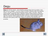 Gyvūnijos aprašymai 12 puslapis