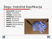 Gyvūnijos aprašymai 13 puslapis